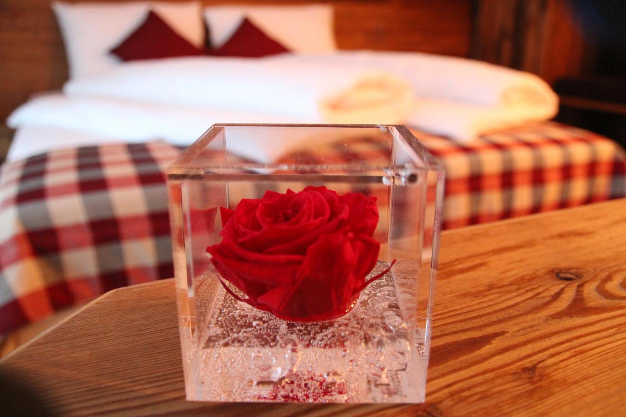 Green Rose 리비뇨 외부 사진